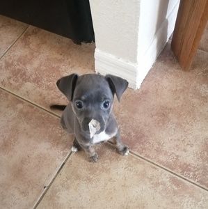 Meet your Posher, Jorge